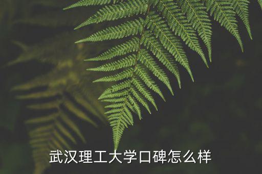 武漢理工大學(xué)口碑怎么樣