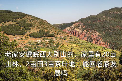 老家安徽皖西大別山的，家里有20畝山林，2畝田3畝茶葉地，能回老家發展嗎