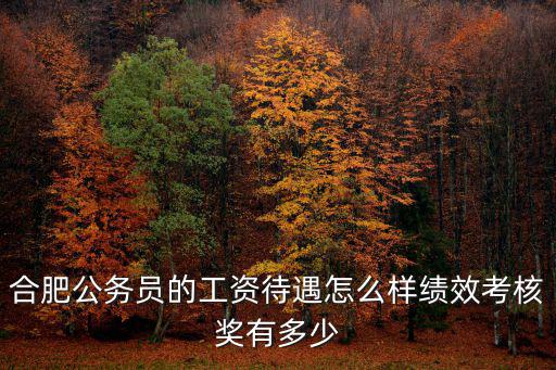 合肥市環保局公務員工資是多少,績效考核獎有多少
