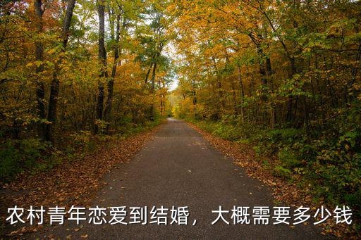 農(nóng)村青年戀愛(ài)到結(jié)婚，大概需要多少錢