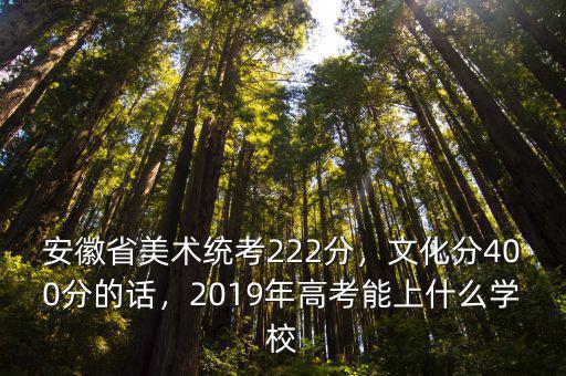 安徽省美術統考222分，文化分400分的話，2019年高考能上什么學校