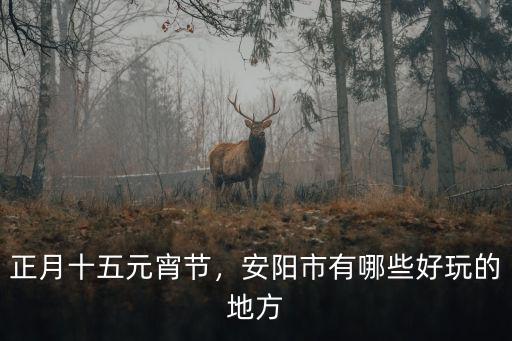 元宵節(jié)安陽市哪里有燈會,安陽市有哪些好玩的地方