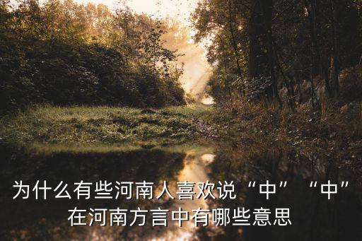 喜歡河南人怎么表達,為什么有些河南人喜歡說中