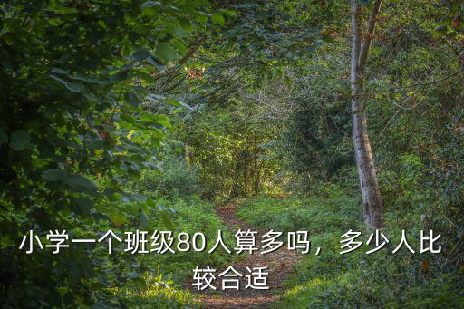 小學一個班級80人算多嗎，多少人比較合適