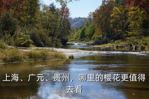 廣元哪里的花海最好,四川廣元哪里可以賞花