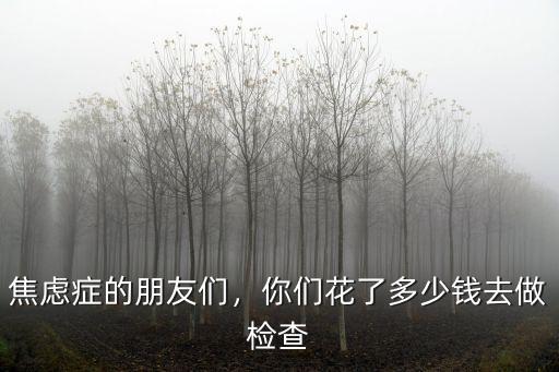 焦慮癥的朋友們，你們花了多少錢(qián)去做檢查