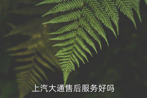 上汽大通售后服務好嗎