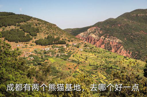 成都有兩個熊貓基地，去哪個好一點