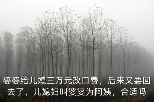 婆婆給兒媳三萬元改口費(fèi)，后來又要回去了，兒媳婦叫婆婆為阿姨，合適嗎