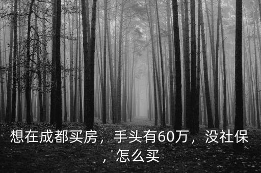 想在成都買房，手頭有60萬，沒社保，怎么買