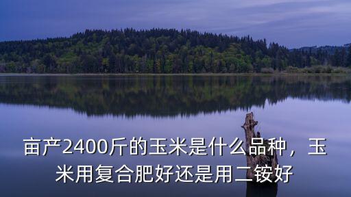 每畝玉米用多少復合肥,玉米用復合肥好還是用二銨好