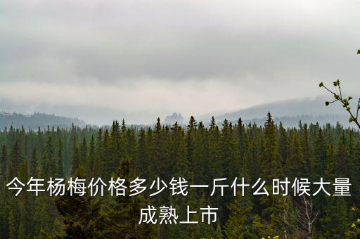 保定應季楊梅多少錢一斤,今年楊梅價格多少錢一斤