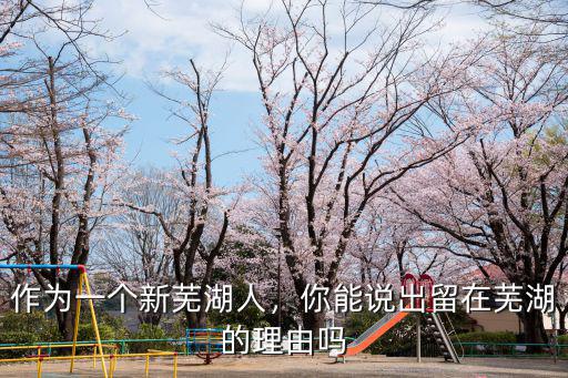 作為一個新蕪湖人，你能說出留在蕪湖的理由嗎