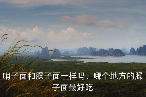 哨子面和臊子面一樣嗎，哪個地方的臊子面最好吃