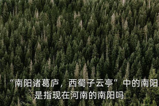 “南陽諸葛廬，西蜀子云亭”中的南陽是指現在河南的南陽嗎
