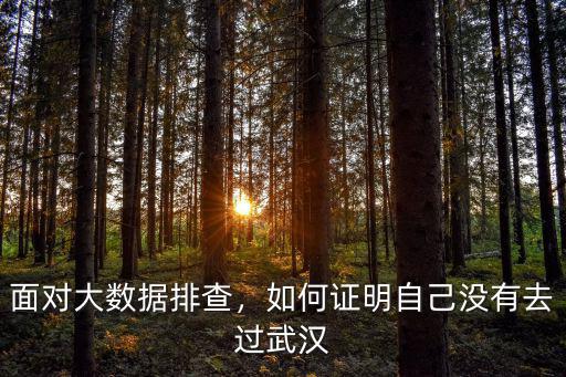 面對大數據排查，如何證明自己沒有去過武漢