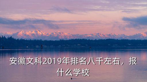 安徽文科2019年排名八千左右，報(bào)什么學(xué)校