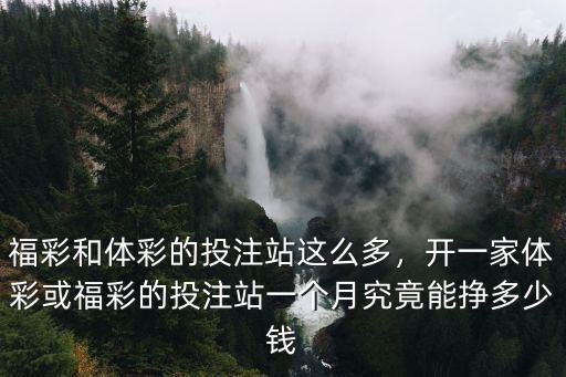 石家莊福彩投注站多少錢,開個彩票投注站需要多少錢
