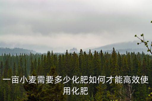 一畝小麥需要多少化肥如何才能高效使用化肥