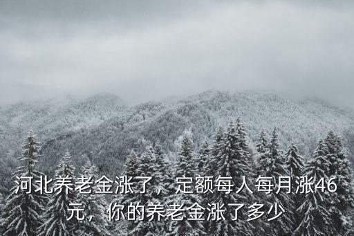 河北五年后養(yǎng)老金多少錢,河北養(yǎng)老金上調多少