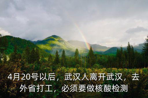 武漢在外打工的過(guò)完年怎么辦,今年湖北在外的打工者