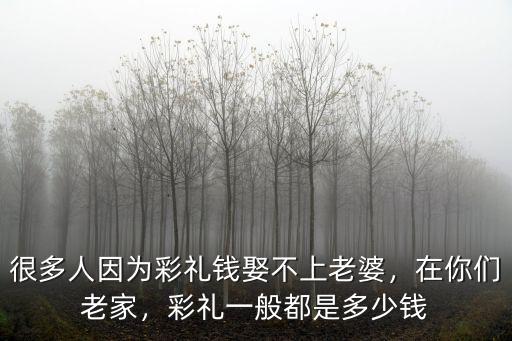 很多人因為彩禮錢娶不上老婆，在你們老家，彩禮一般都是多少錢