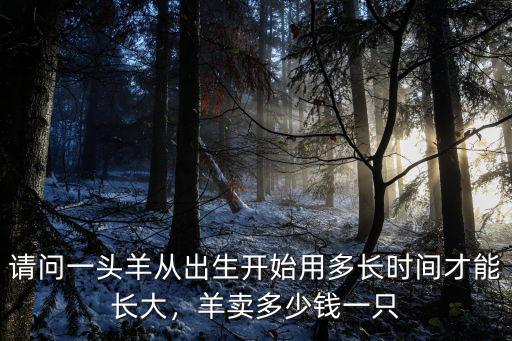 唐山純種山羊一只多少錢,羊苗多少錢一只
