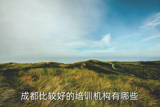 成都比較好的培訓機構有哪些