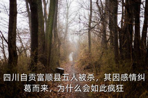 四川富順縣哪里有美女,四川自貢富順縣五人被殺