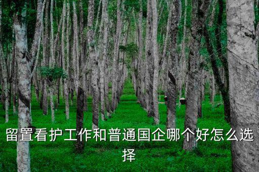 留置看護工作和普通國企哪個好怎么選擇