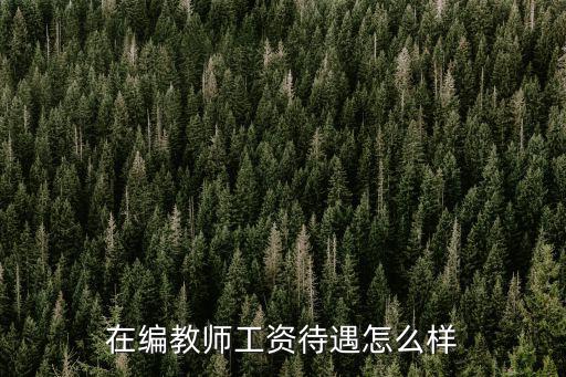 在編教師工資待遇怎么樣