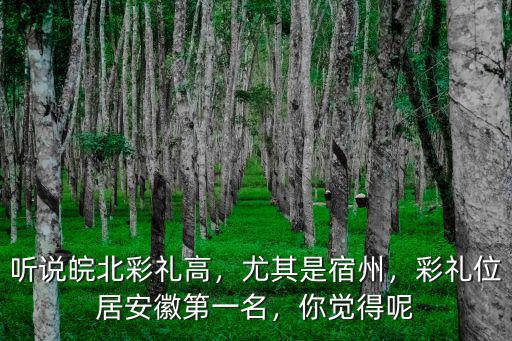 聽說皖北彩禮高，尤其是宿州，彩禮位居安徽第一名，你覺得呢