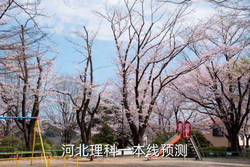 河北高考預計一本多少分2019,河北錄取分數線預估多少