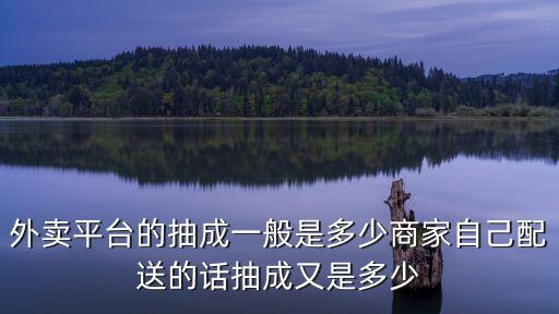 外賣平臺的抽成一般是多少商家自己配送的話抽成又是多少
