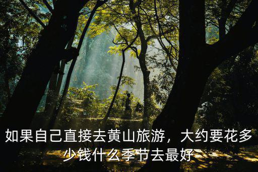 自己去黃山要花費多少錢,一家六口去黃山要多少錢