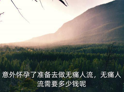 廊坊市中醫院無痛人流多少錢,無痛人流需要多少錢呢