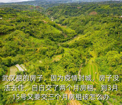 武漢租的房子，因為疫情封城，房子沒法去住，白白交了兩個月房租，到3月15號又要交三個月房租該怎么辦