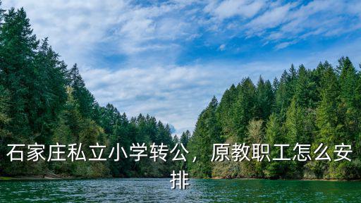 石家莊市私立小學收費多少,石家莊私立小學轉(zhuǎn)公