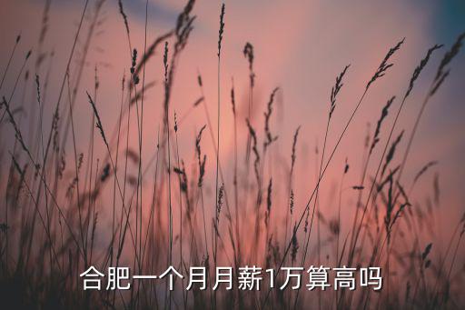 合肥一個月月薪1萬算高嗎