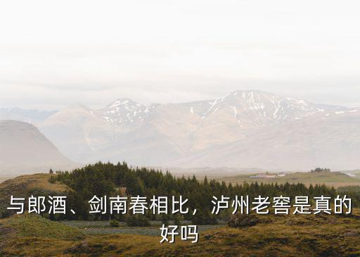 瀘州老窖冰棒哪里買,張三買瀘州老窖洗腳違法嗎