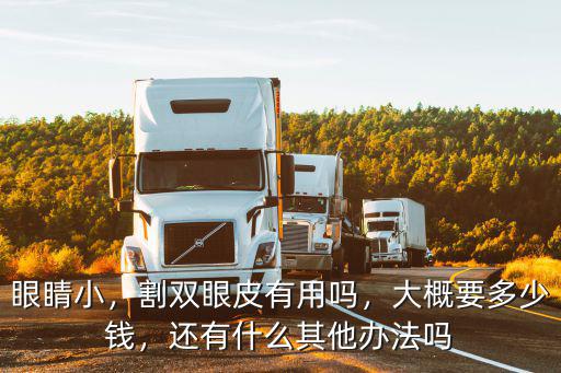 眼睛小，割雙眼皮有用嗎，大概要多少錢，還有什么其他辦法嗎