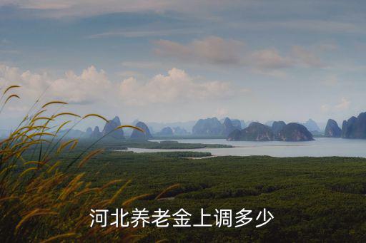 河北養老金上調多少