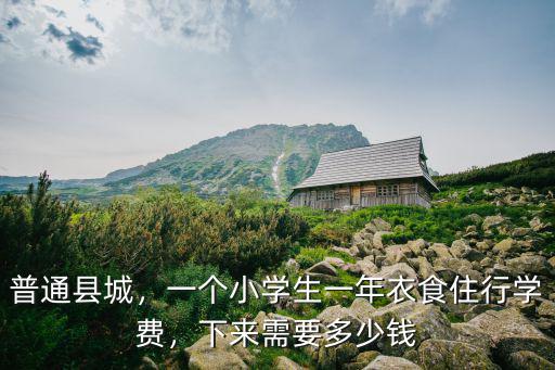 普通縣城，一個小學生一年衣食住行學費，下來需要多少錢