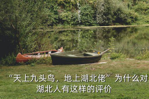 “天上九頭鳥，地上湖北佬”為什么對湖北人有這樣的評價