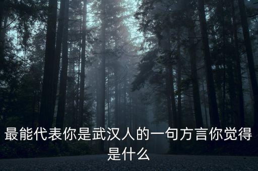 武漢方言結賬怎么說,對于武漢的方言