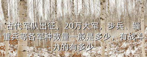 安徽有多少萬軍人,有戰斗力的有多少