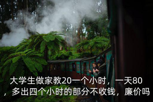 蕪湖做家教多少錢一小時,一般一小時多少錢