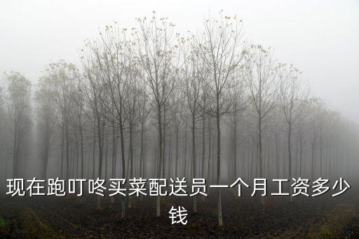 現在跑叮咚買菜配送員一個月工資多少錢