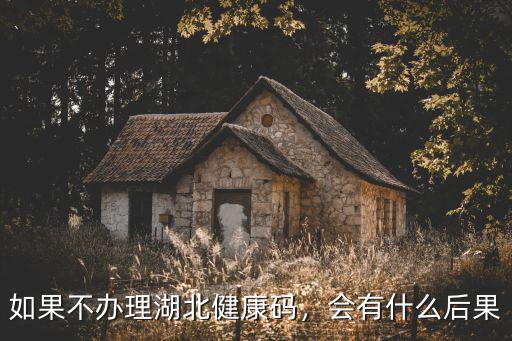 如果不辦理湖北健康碼，會有什么后果
