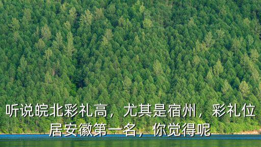 聽說皖北彩禮高，尤其是宿州，彩禮位居安徽第一名，你覺得呢